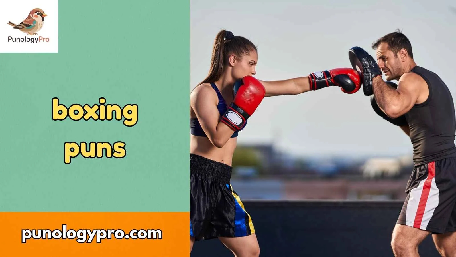 boxing puns