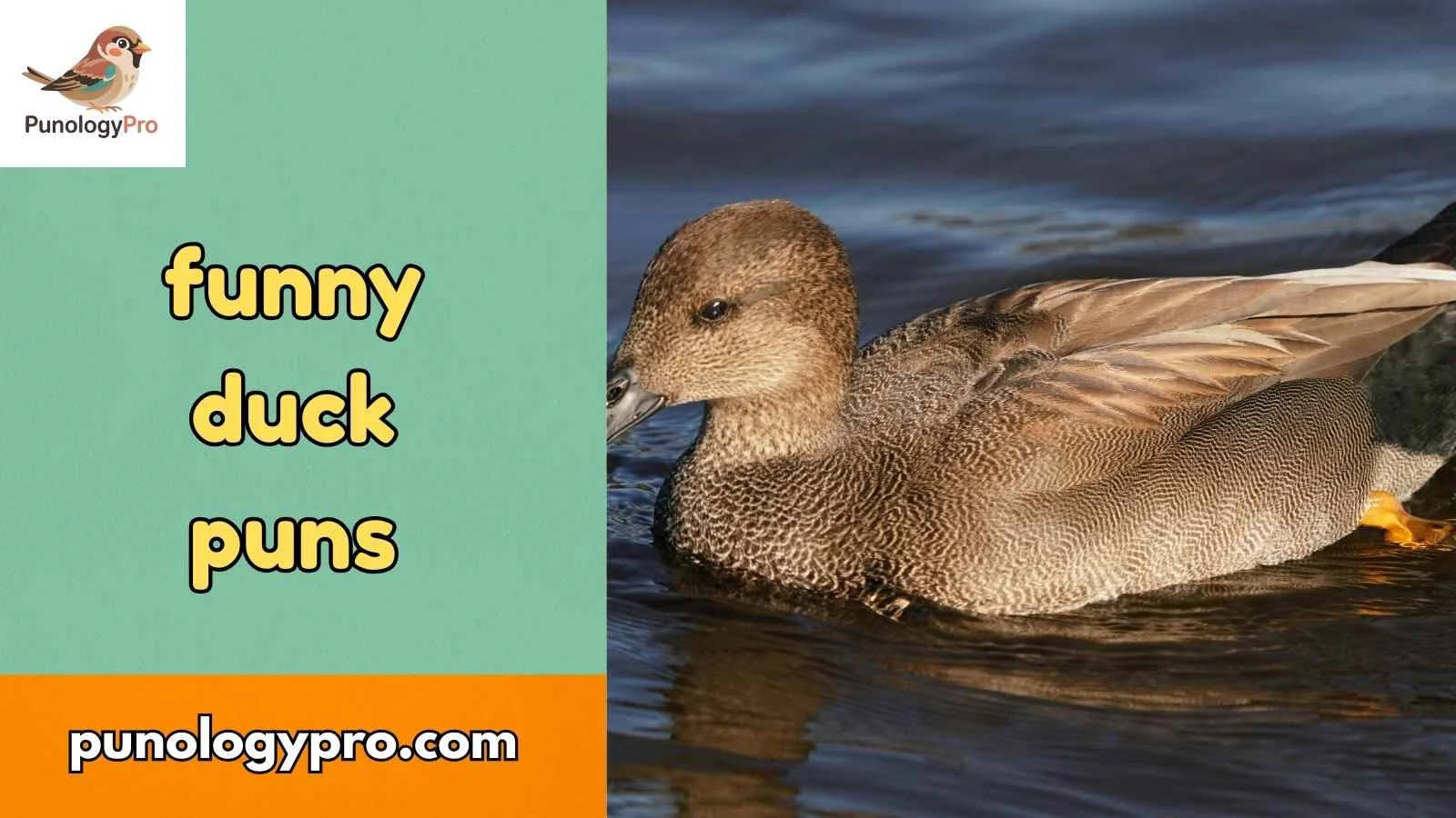 Funny duck puns