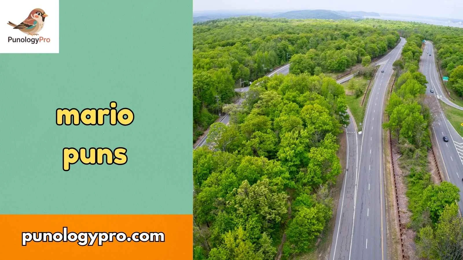mario puns