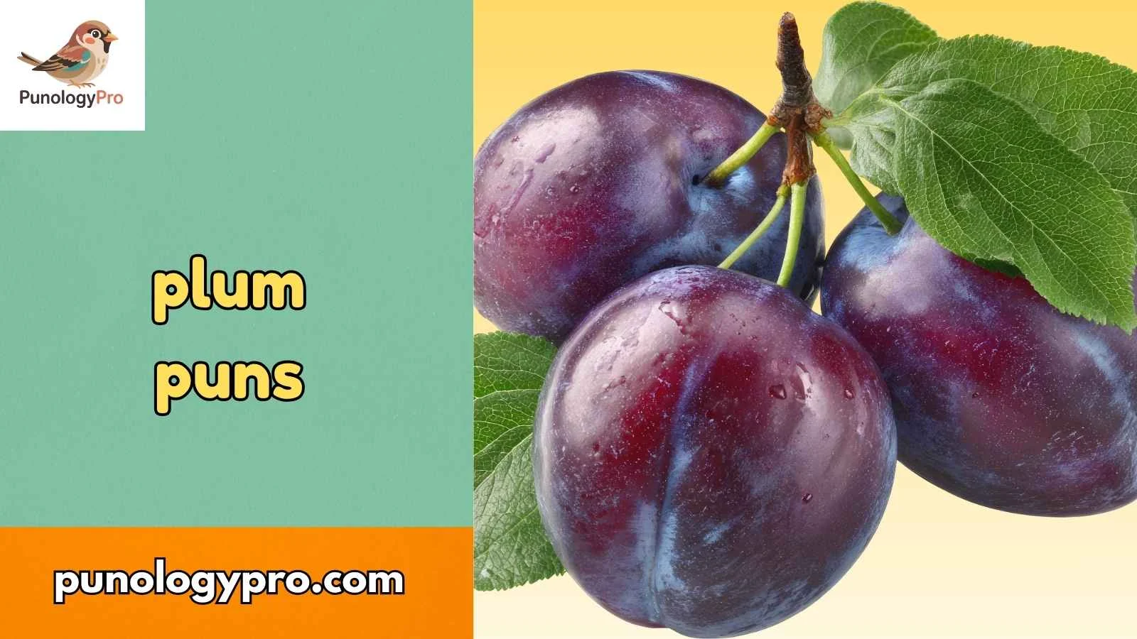 Plum puns