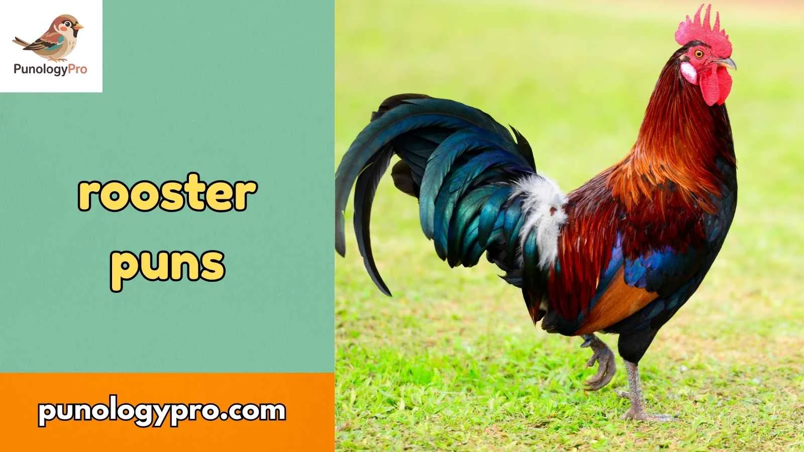 rooster puns