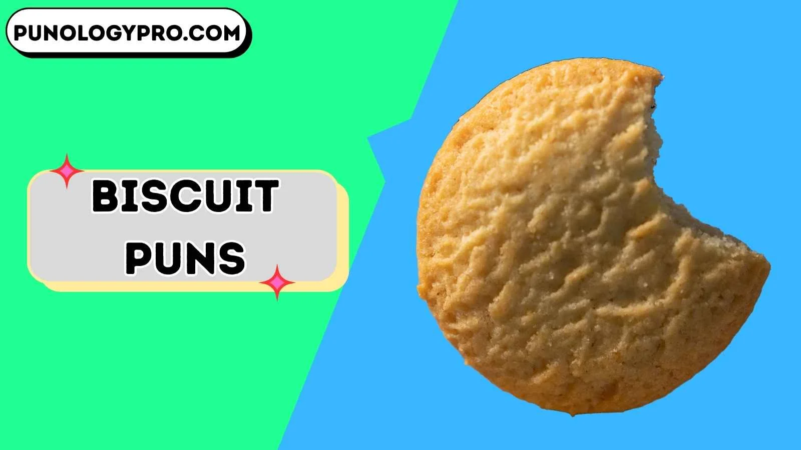 biscuit puns
