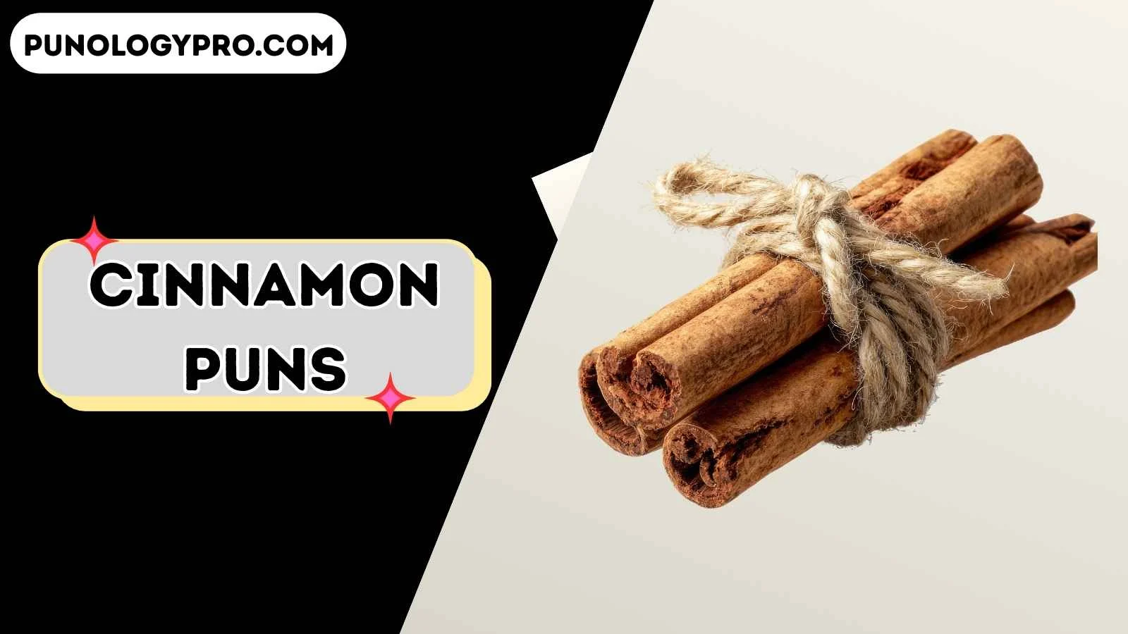 Cinnamon puns