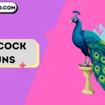 peacock puns