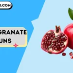 pomegranate puns