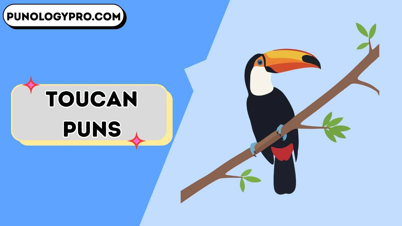 toucan puns