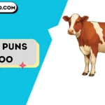 cow puns moo