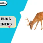 deer puns one liners