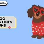 dog valentines puns