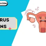 uterus puns