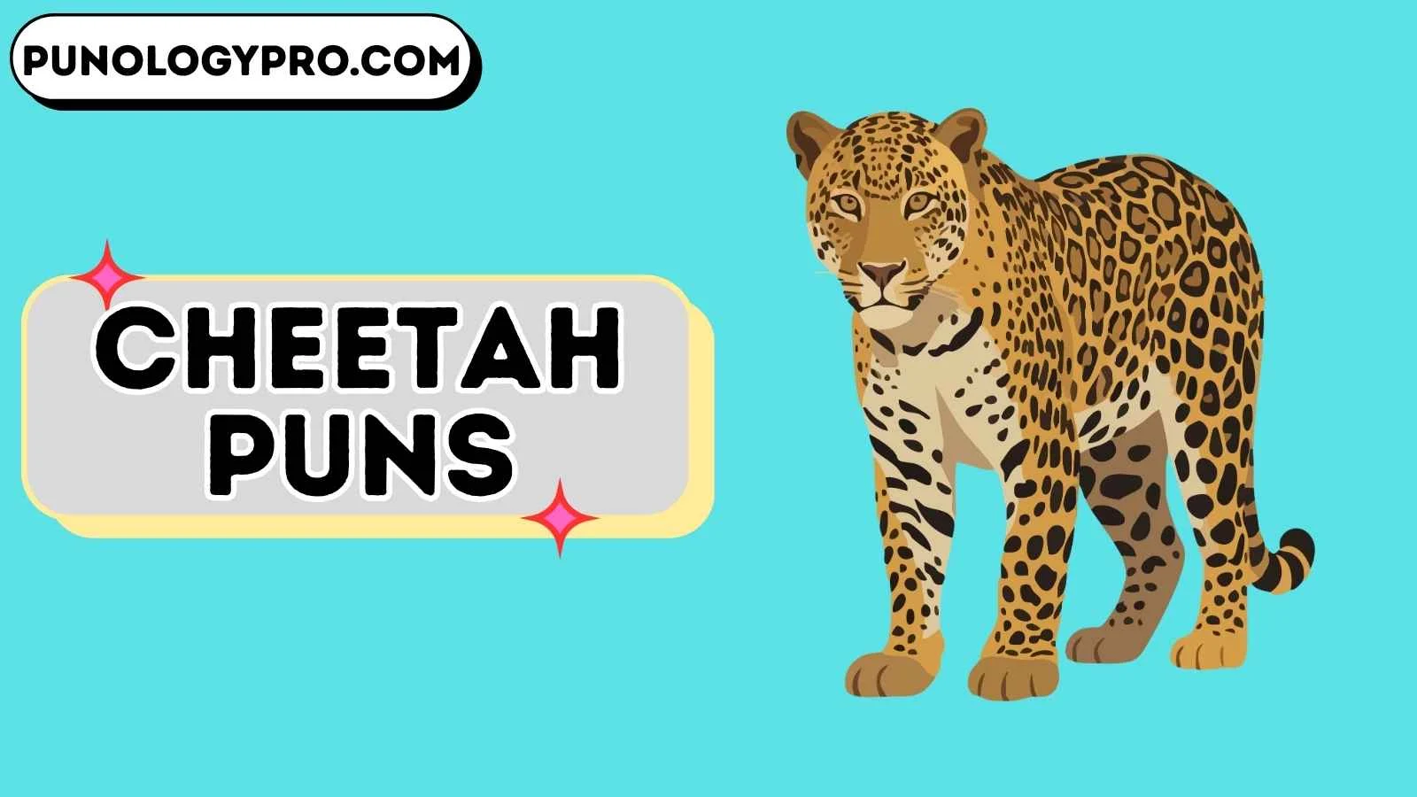cheetah puns