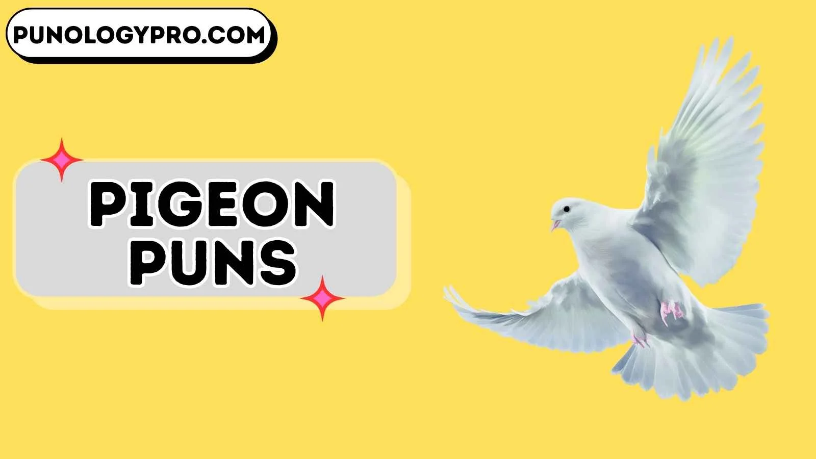 pigeon puns