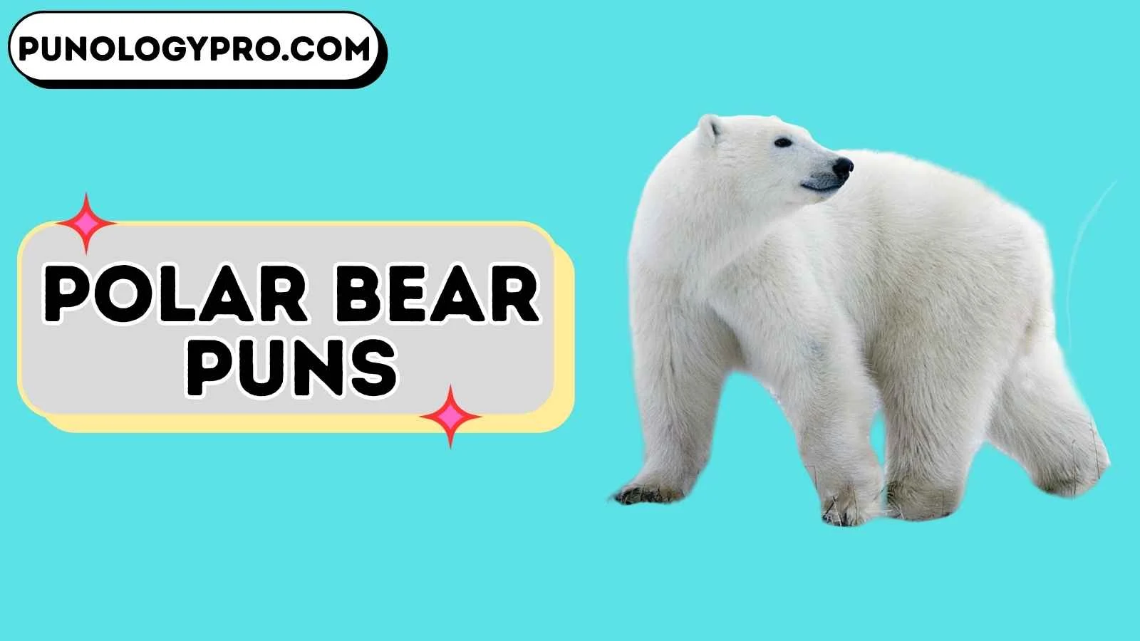 polar bear puns